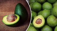Як за 10 хвилин зробити авокадо стиглим та м'яким: вас здивує цей простий фокус