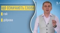 Що таке гай, бір і діброва: мовознавець дав неочікувану відповідь