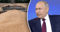 У россиян проблемы с вывозом зерна после ударов Украины