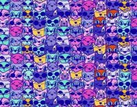 Головоломка, которая сведет с ума: надо за 13 секунд найти собаку среди кошек