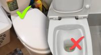 Здоров'я дорожче: чому треба завжди закривати кришку унітазу