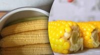 Смачно, але не можна: кому протипоказана варена кукурудза