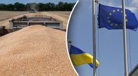 Провал зернової угоди: в Євросоюзу немає коштів на транзит зерна з України - Reuters