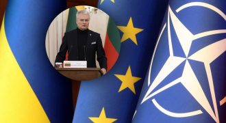 Решение саммита НАТО в Вильнюсе удовлетворит Украину - президент Литвы