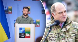 "Можем утром просыпаться и благодарить министра лично": Зеленский поставил на место Уоллеса