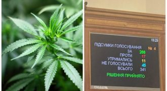 Легализация медицинского каннабиса: Рада дала "зеленый свет" законопроекту