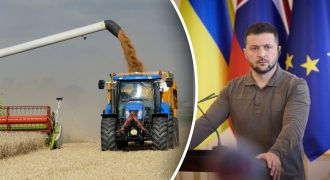 "Мы не боимся": Зеленский отреагировал на выход РФ из зернового соглашения