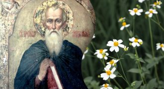 Какой сегодня праздник 19 июля:  кого нужно поздравить в этот день