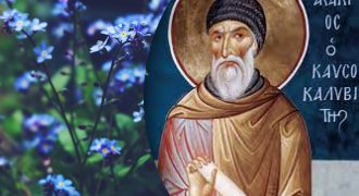 Какой сегодня праздник 20 июля:  кого нужно поздравить в этот день