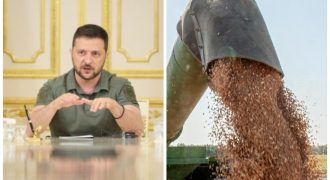 "Коридор" без РФ: зерновозы могут пойти под конвоем или через воды стран НАТО
