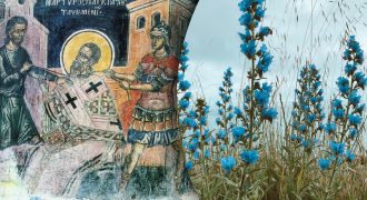 Какой сегодня праздник 22 июля:  кого нужно поздравить в этот день