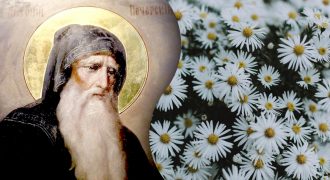 Какой сегодня праздник 23 июля:  кого нужно поздравить в этот день