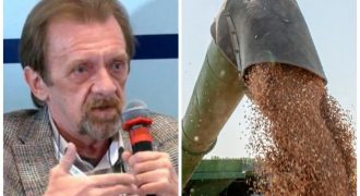Зерновой "коридор" без РФ: эксперт раскрыл неожиданный сценарий с участием НАТО