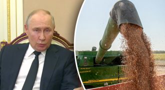 Путин неуклюже оправдался за выход из "зерновой сделки"