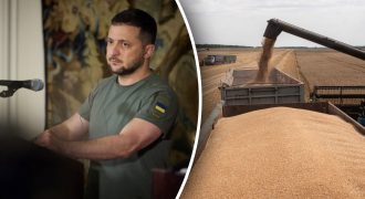 "Зерновой коридор" запустили без РФ: Зеленский раскрыл детали