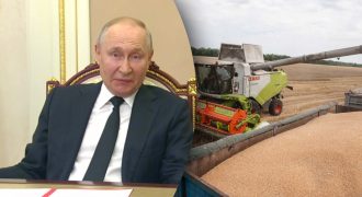 Как РФ срывала зерновую сделку: в ГУР опубликовали секретный доклад для Кремля