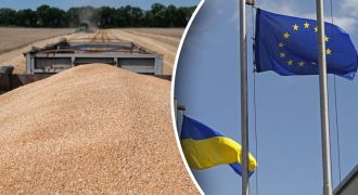 Провал зерновой сделки: у Евросоюза нет средств на транзит зерна из Украины - Reuters