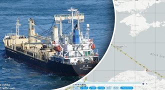Израильский корабль первым прорвал зерновую блокаду России - СМИ