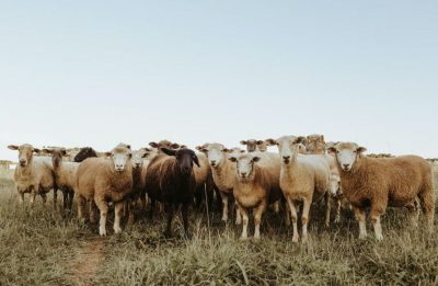 Головоломка