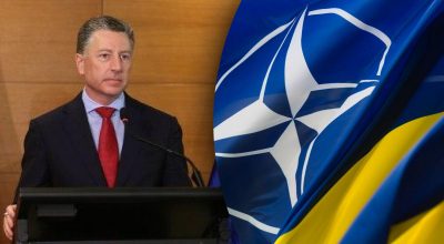 Курт Волкер, НАТО Курт Волкер, НАТО