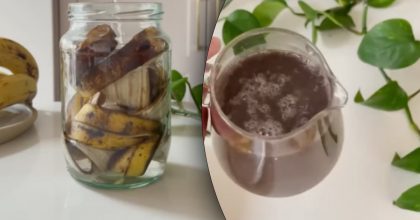 Девушка залила банановую кожуру водой и приготовила супер-средство