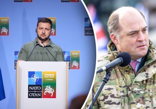 "Можем утром просыпаться и благодарить министра лично": Зеленский поставил на место Уоллеса