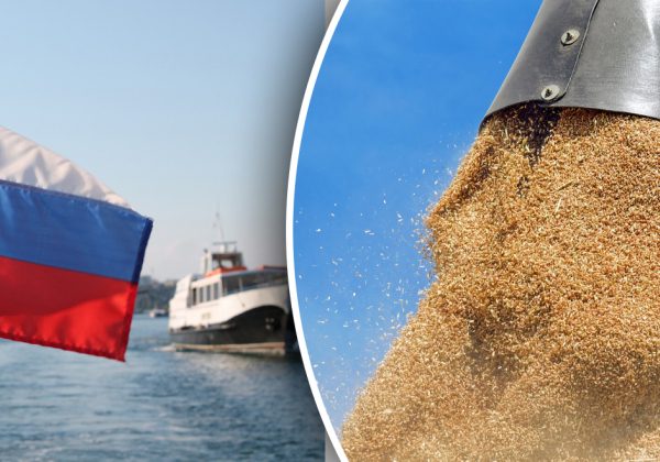 Россия в истерике отзывает гарантии безопасности в Черном море, зерновая сделка прекращена