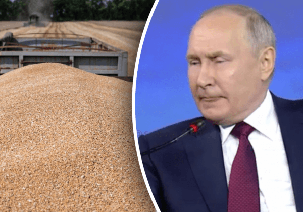 У россиян проблемы с вывозом зерна после ударов Украины