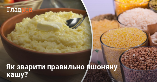 Як зварити правильно пшоняну кашу - яка пропорція пшона і води - Главред