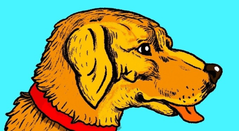 Лишь 1% людей справится с этой оптической иллюзией: надо найти лицо человека