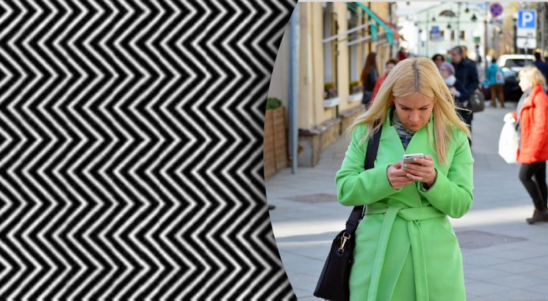 Оптическая иллюзия сводит с ума Интернет: люди не могут найти спрятанное животное