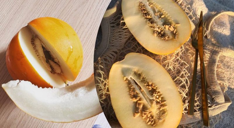 Четыре хитрости, как выбрать самую сладкую дыню, о которых вы не знали