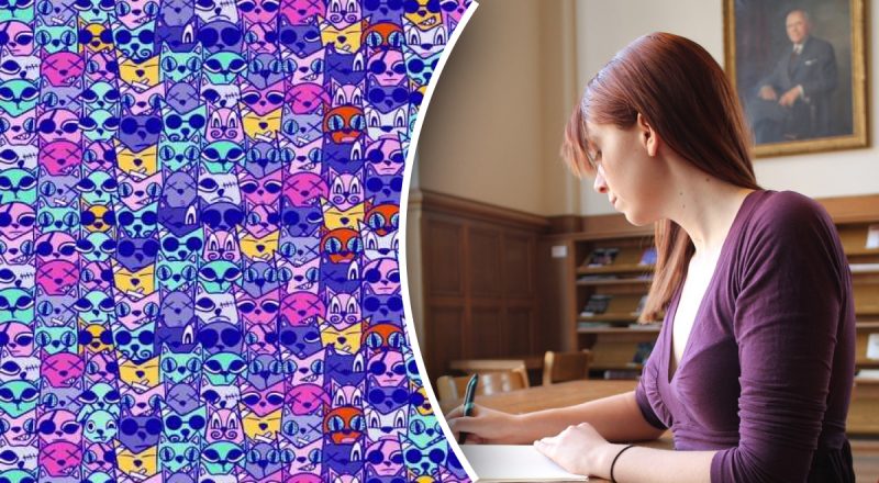 Шалена оптична ілюзія: лише геній за 13 секунд знайде собаку серед котів