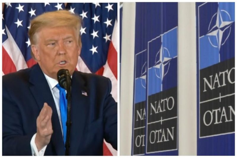 "Цілковите безумство": Трамп зганьбився маячнею щодо приймання України в НАТО