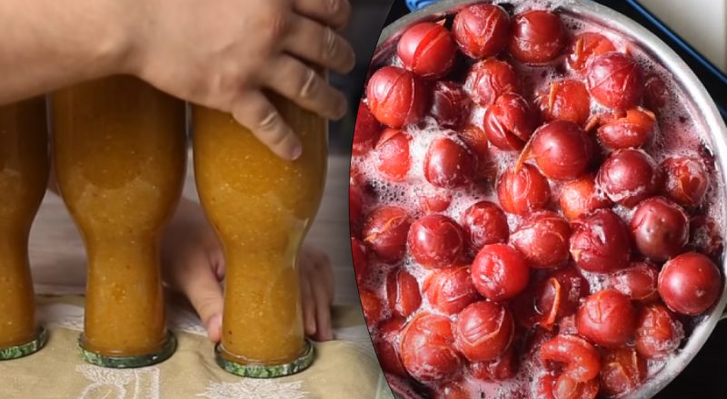 Как сохранить алычу на зиму и что можно приготовить из нее уже сейчас