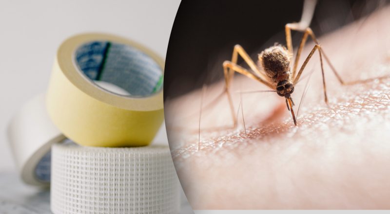 Як прибрати укус комара: спосіб, який дивує і допомагає одночасно