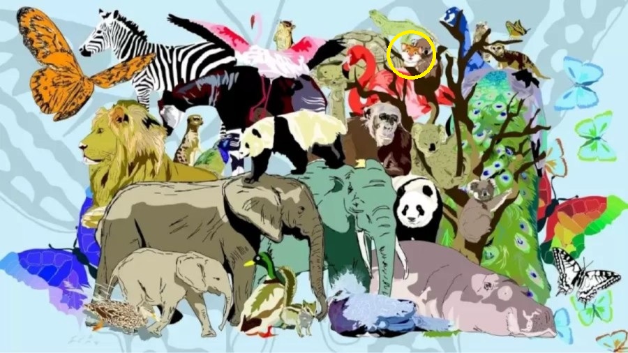 Головоломка Головоломка