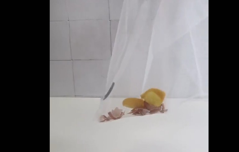 Як відбілити речі за допомогою яєчної шкаралупи Як відбілити речі за допомогою яєчної шкаралупи