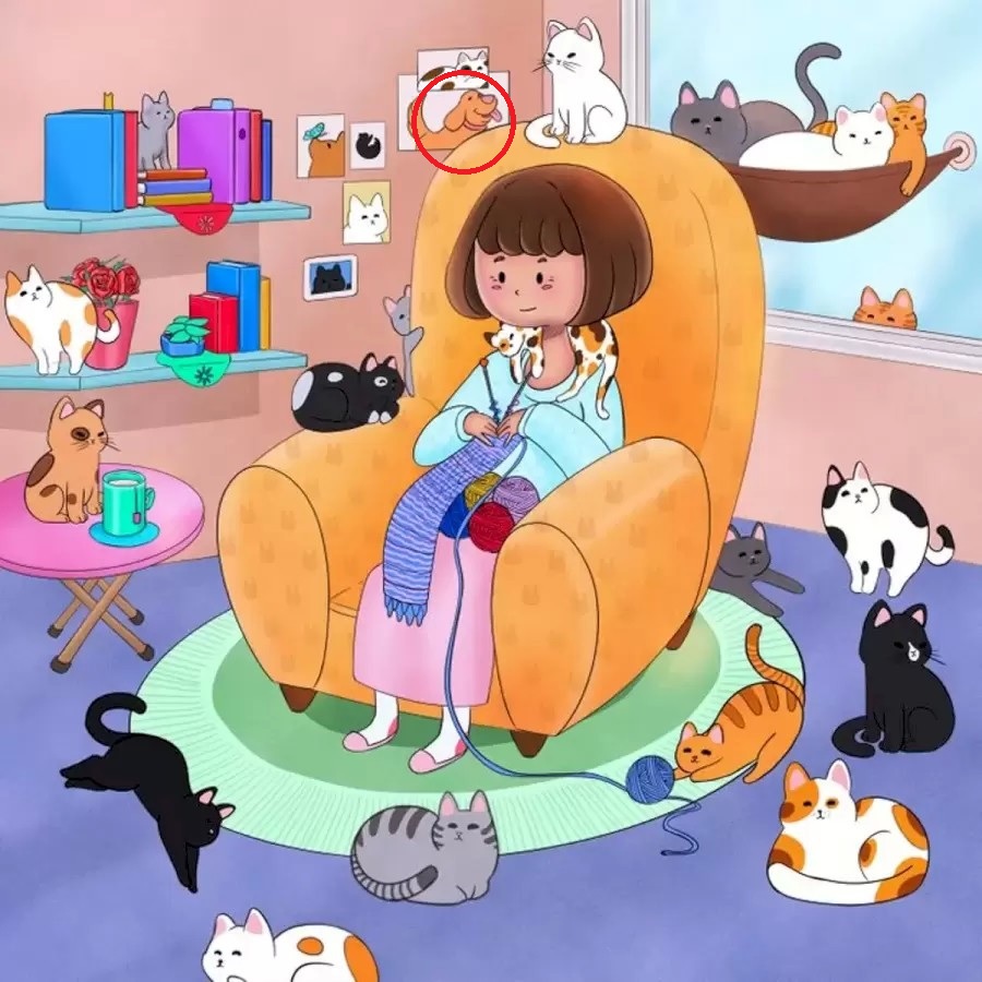 Головоломка Головоломка