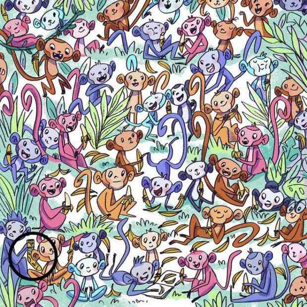 Самая сложная оптическая иллюзия: мало кому удается найти носок на картинке Самая сложная оптическая иллюзия: мало кому удается найти носок на картинке