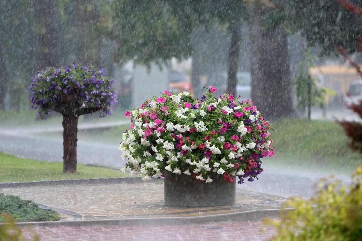 Погода, дождь Погода, дождь