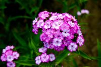 Чому 3 серпня потрібно все робити мовчки: стародавні прикмети і заборони