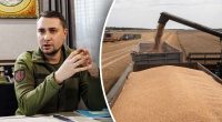 Подобається це РФ чи ні: Буданов заявив, що Україна знову експортуватиме зерно