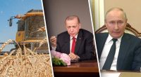 Таємні переговори Путіна і Ердогана: в обхід України за допомогою Угорщини готують угоду - Bild