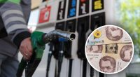 В Україні ще сильніше подорожчають бензин і дизпаливо: в чому суть