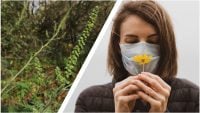 Как легче перенести аллергию на амброзию: 3 способа, которые помогут справиться