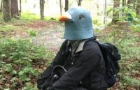 Вчений рік носив пташину голову, щоб подружитися з пернатими: що з цього вийшло