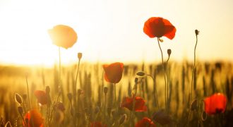 Накроет невыносимая жара, но не везде: где будет заливать дождями