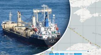 Россия не блокирует украинские порты на Дунае, "прорыва" кораблей не было - СМИ