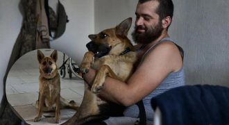 "Все говорили - это невозможно": в Сети растрогались историей раненого бойца ВСУ и его собаки
